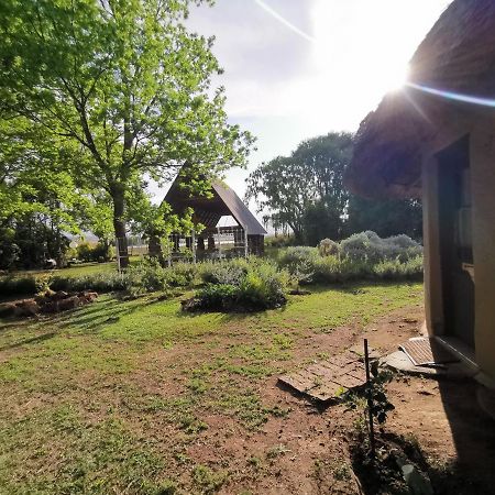 Drakensberg Bush Lodge And Backpackers Winterton Bagian luar foto