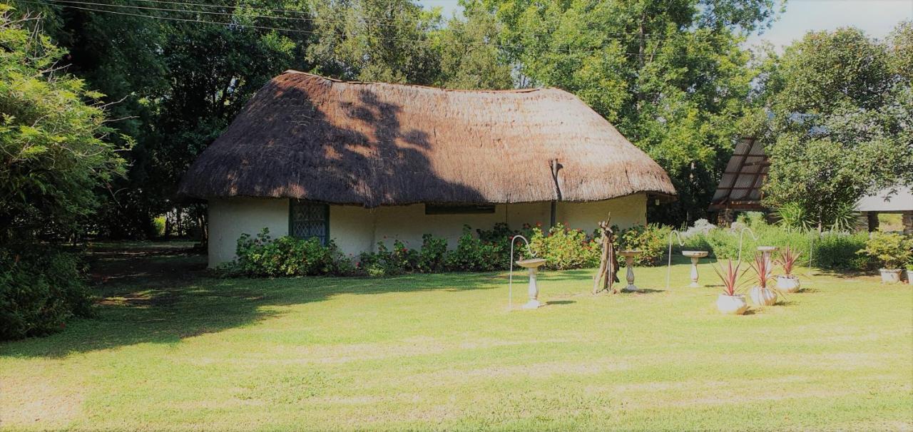 Drakensberg Bush Lodge And Backpackers Winterton Bagian luar foto